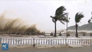 Two People Die In Zhuhai, China Due To Typhoon Hato