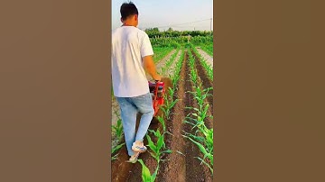 Multifunctional micro-tillage machine is suitable for greenhouse orchards, etc. Gasoline weeding