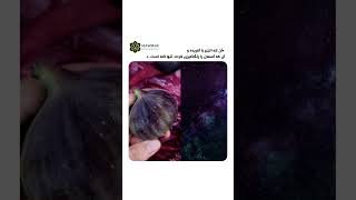 تا حالا متوجه شدی که یک میوه کوچک مثل انجیر  کل  کهکشان رو توی خودش جا داده    سمعها