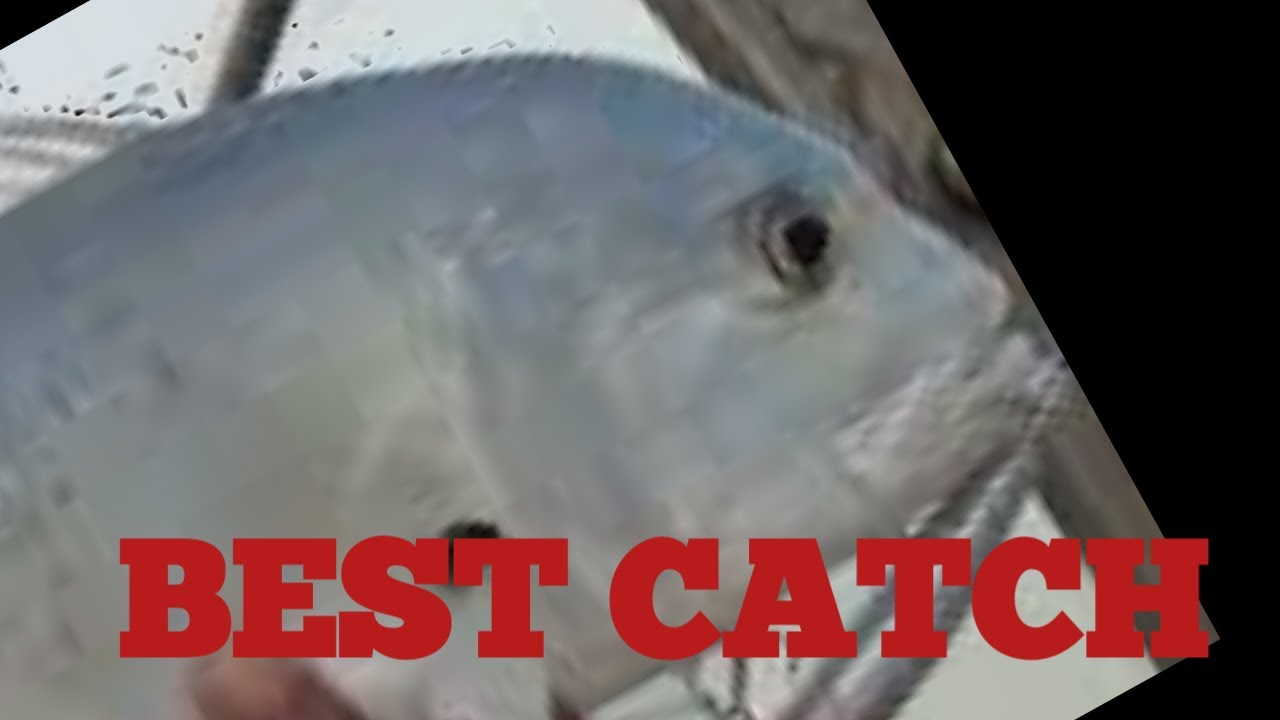 Ep 34- best catch compilation