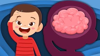 Explore The Brain! | Human Body Songs For Kids | KLT Anatomy