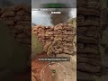 Grenade rocket musket launcher lol | #badbwoygully on #Twitch #Insurgencysandstorm