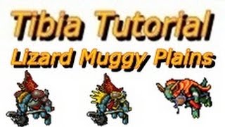 tutorial caverao avenger tibia lizard muggy plains farmine zao