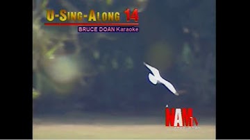 Như Cánh Vạc Bay - Karaoke Using Along