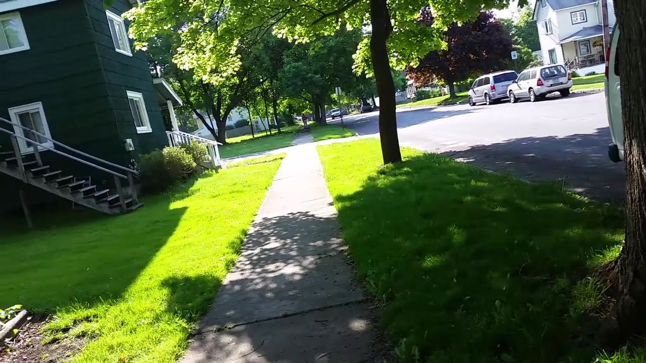 RDMVTL 18,356 ~ 5/24/2016 1 o11 {MY DOG STORY} A WALK w/MAX : 2ND ST @ CORNING , NY