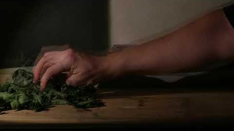 Human behaviour I - an assosiative drone