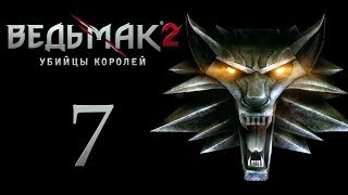 The Witcher 2 (Ведьмак 2) Флотзам #7