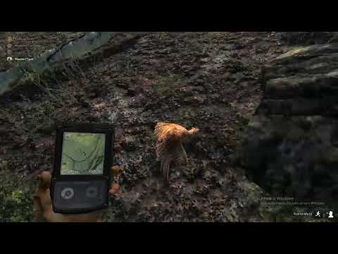 the hunter classic beginner the hunter classic beginner