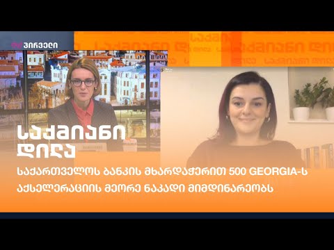 საქართველოს ბანკის მხარდაჭერით 500 Georgia-ს აქსელერაციის მეორე ნაკადი მიმდინარეობს