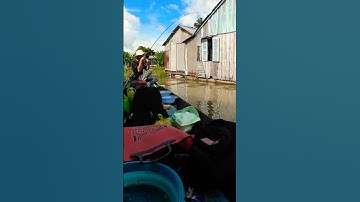 Câu cá Mỹ Hoà Hưng Long xuyên #fishing #cauca #causong