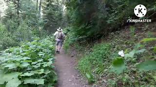 Pulaski Tunnel Trail at Wallace Idaho #hiking by RR Remines Vlog 584 views 1 year ago 8 minutes, 3 seconds