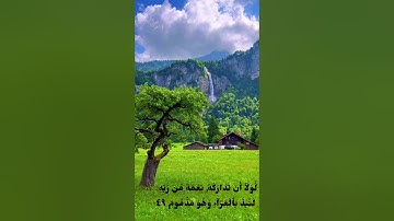 سورة القلم من آية 40 الى 52