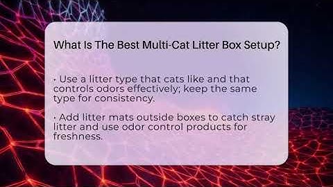 What Is The Best Multi-Cat Litter Box Setup? - Happy Cat Handbook