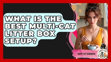 What Is The Best Multi-Cat Litter Box Setup? - Happy Cat Handbook