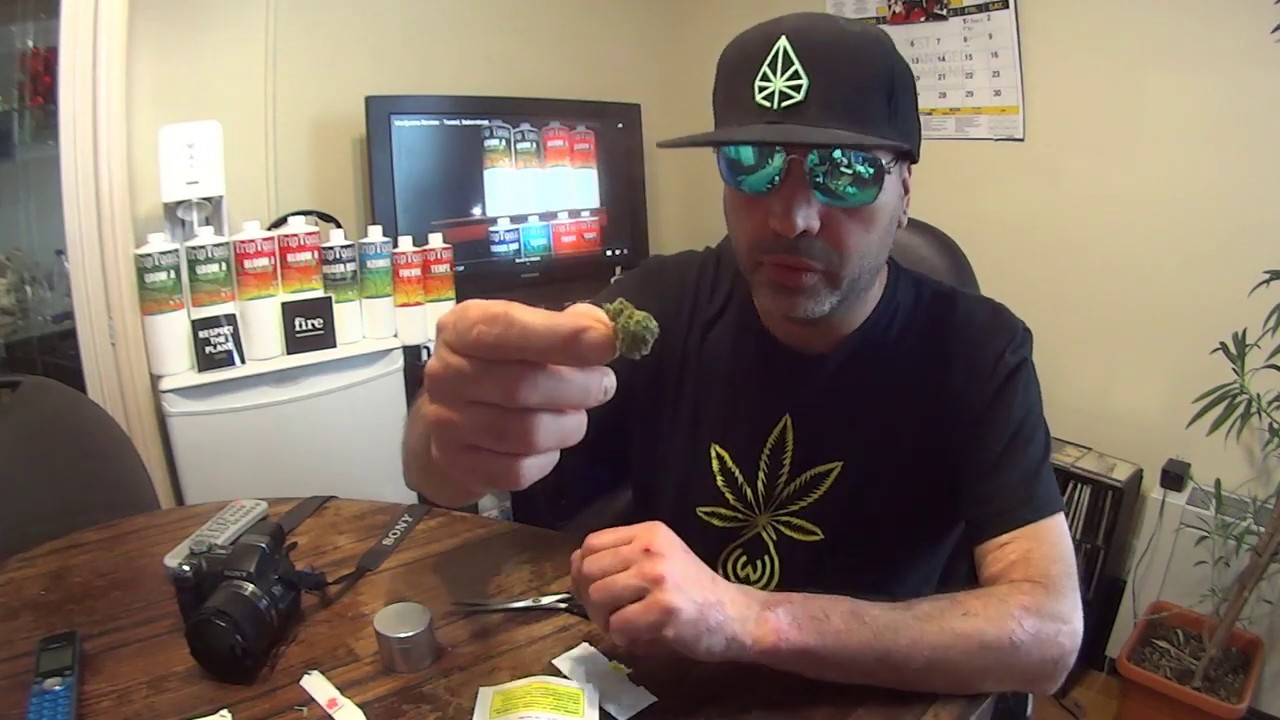 Pure Sunfarms - Purple Sun God