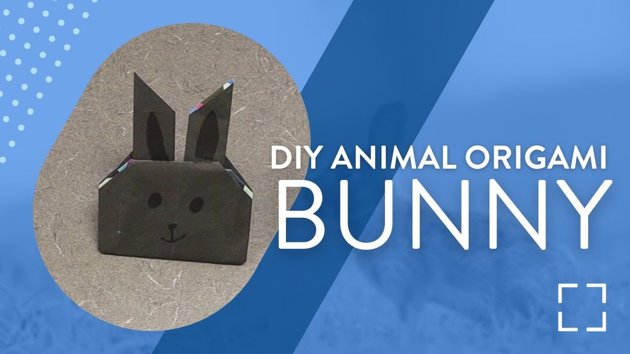 Do It Yourself Animal Origami: Bunny • EVPL Digital Program