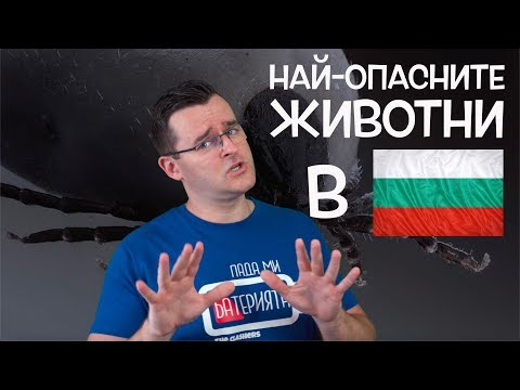 10 от Най-опасните животни, които се срещат в България