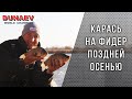 Карась на фидер в ноябре. Супер рыбалка!