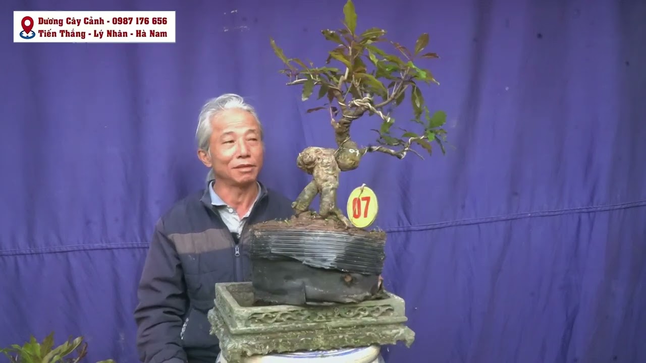 Clip 446 NHững tp Lộc Vừng Hạt Bon Sai Mi NI Thả  Nước Rât Đẹp