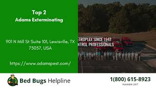 Top 3 Bed Bug Removal in Lewisville