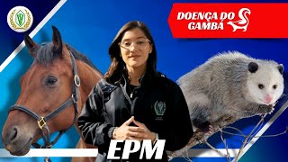 BAMBEIRA EQUINA - DOENÇA DO GAMBÁ (EPM) | GME | T02•EP 02 | feat. MV Gil Fernando