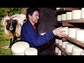 El queso pastoril. Elaboración artesanal con leche fresca de ovejas de raza lacha | Documental