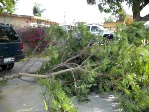 Crazy California Winds