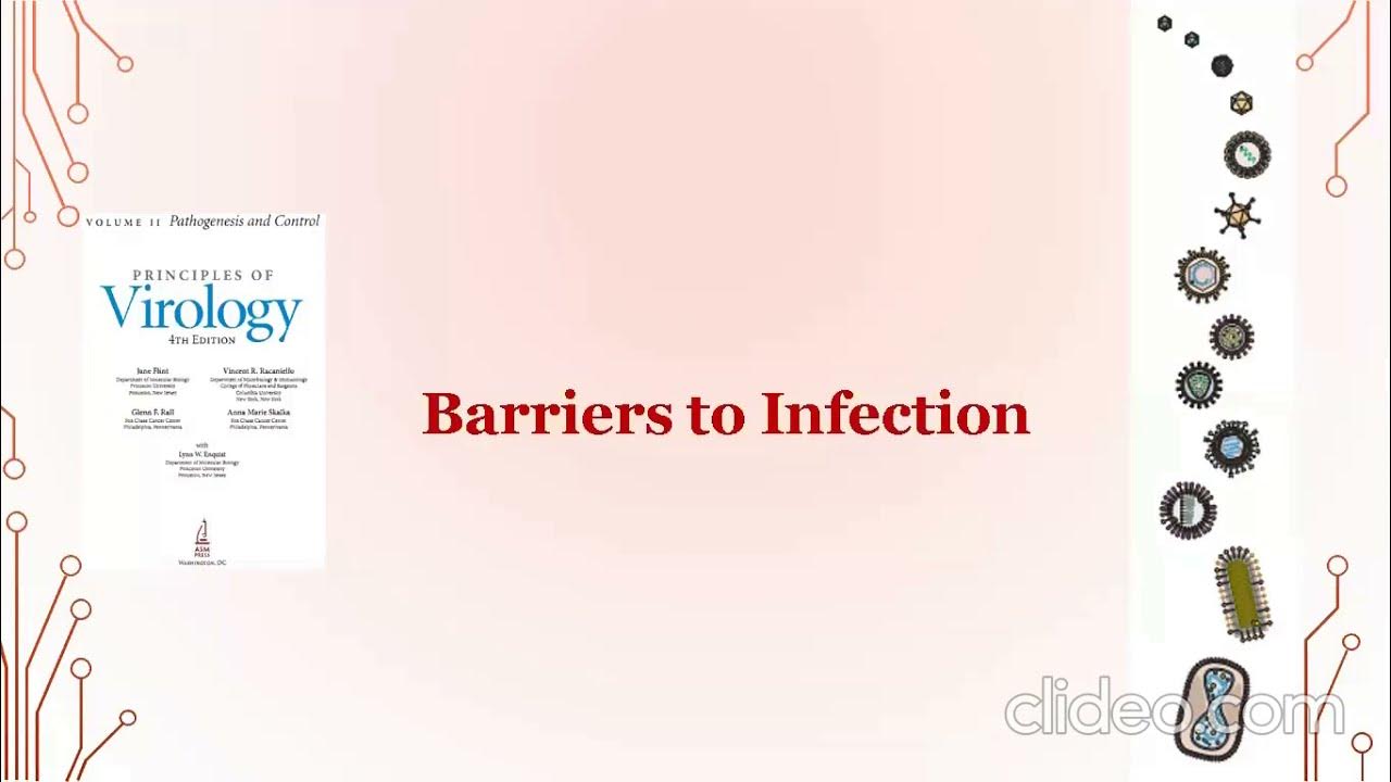 Barriers to infection (Part I) YouTube