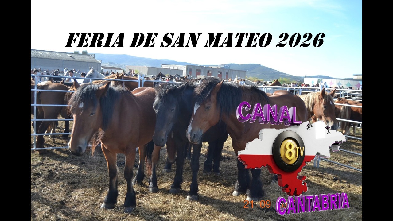 Mas de 3.000 Reses en la Feria de Caballos de "San Mateo" de Reinosa. video de (Rafa Martinez)