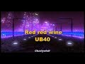 Red red wine   ub40  letra  lyrics