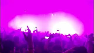 Virtual Riot - Purple Dragons (Dragons VIP) - LIVE @ Hollywood Palladium