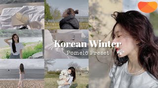 Korean Winter Preset using Pomelo | pomelo filter screenshot 4