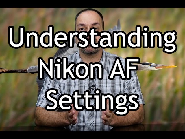 Nikon AF Modes class=