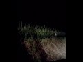 A Ghost Found In Countryside