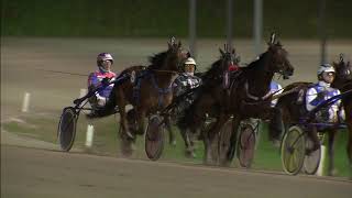 Vidéo de la course PMU PRIX SYTSKE DE VRIES - CHAMPION 2019 (MERWESTAAL TALENT CHALLENGE) (INTERNET)