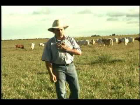 Musica Llanera -Martin Giraldo canta: Meta, paraiso sin ...