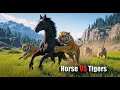 Black Turkoman Horse Hunted By Three Hungry Tigers in The Open Meadow