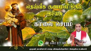 07.05.2024   morning prayer  காலைஜெபம்  தெய்வீக குணமளிக்கும் இயேசு @TAMIL CATHOLIC ONLINE TV