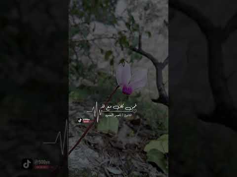 مالا ينال بالله لا ينال