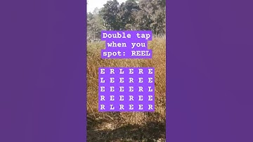 Observation Visual Test: 5 Seconds ForYou To Spot REEL. Try Your Skills! #search #puzzle #shorts