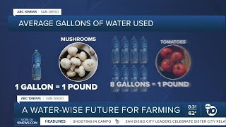 A water wise future for farming