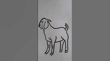 Very easy goat drawing for beginners 🐐 #shorts #goat  #drawing #viral #trending