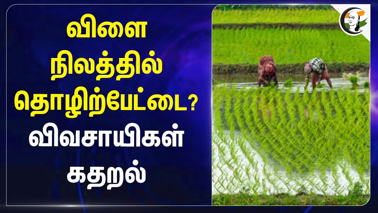 விளை நிலத்தில் தொழிற்பேட்டை? Farmers Protest | Krishnagiri SIPCOT