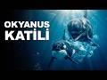 Pilot Balinalar | Okyanus Derinliklerinde Orcaların Kabusu