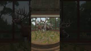 Fabled Piebald Great One Call Of The Wild