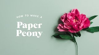 How to make a paper peony