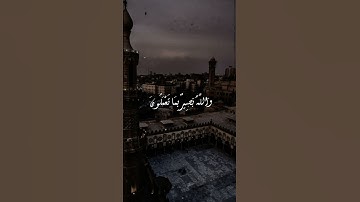 لحظات من التأمل والسكينة | سورة الحجرات #الشيخ عبدالفتاح الشعشاعي#اكسبلور