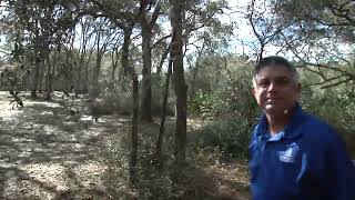 34399 Manuel St. Webster, FL. 33597 - Item - 699425