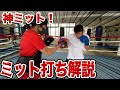 トレーナーとミット打ちを解説！