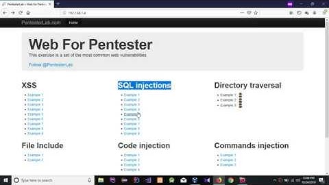 Web For Pentester | PentesterLab SQL Injections: Example 5